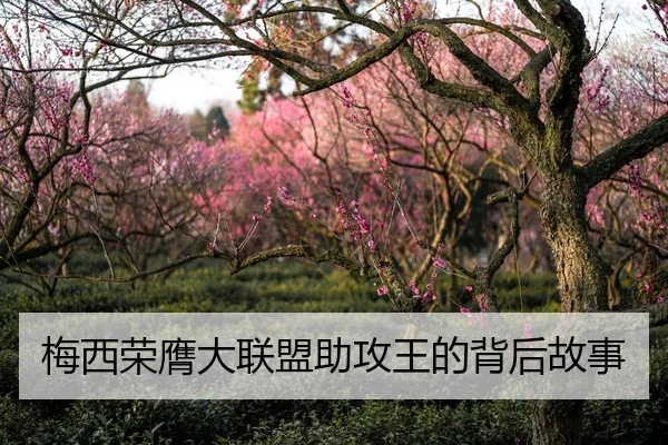梅西荣膺大联盟助攻王的背后故事 - leyu