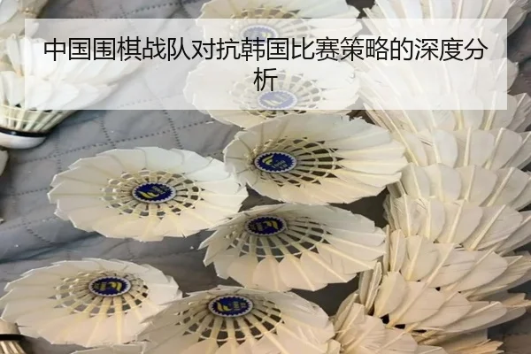 中国围棋战队对抗韩国比赛策略的深度分析 - leyu